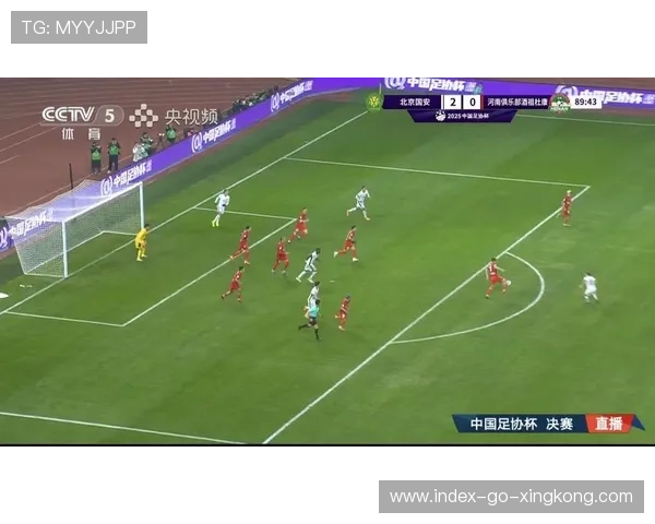 卡多索领衔河南队,磨砺新赛季战斗力 卡多索领衔河南队,磨砺新赛季战斗力